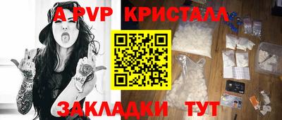 jwh Кингисепп