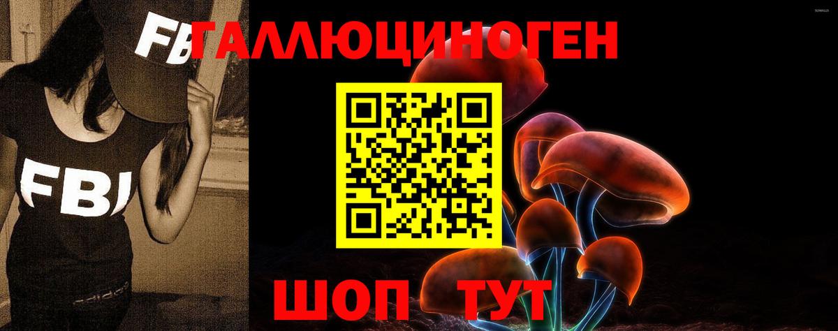 Галлюциногенные грибы Cubensis  Вход с VPN  Котовск  купить  сайты  Галлюциногенные грибы мицелий 
